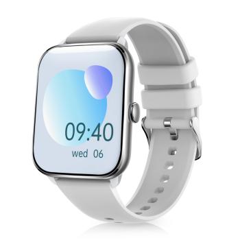 NICEBOY WATCH 3 ARCTIC SILVER