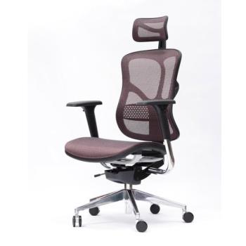 SPINERGO BUSINESS BORDOVA