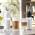 DELONGHI ECAM 450.55S