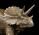 VERONESE TRICERATOPS
