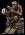VERONESE SIMPANZ EVOLUCIA