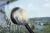 KARCHER UNIVERZALNY NADSTAVEC K WB 120, 2.644-062.0