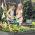 BLUMFELDT HIGH GROW STRAIGHT, VYSVYSENY ZAHON 180X60X90 CM 970L, OCEL, POZINKOVANY, STRIEBORNY