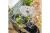 TEFAL XF652038