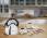 TEFAL K2481574
