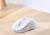 LOGITECH M650 OFF WHITE 910-006275