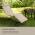 BLUMFELDT NANTES, HOJDACIE LEZADLO, 63,5 X 98,5 X 155 CM, COMFORTMESH, BEZOVE 10034738