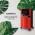 ONECONCEPT BALTIC RED, 10029737