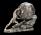 VERONESE SYZIFOS