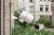 IMILAB EC3 PRO OUTDOOR SECURITY CAMERA