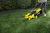 KARCHER LMO 36-40 BATTERY 1.444-452.0 vystavený kus
