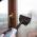 ARIETE 10V1 PARNY MOP 4164