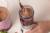 FITSTREAM VYZIVOVE DOPLNKY 320G BEAUTY & VITALITY COLLAGEN