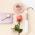 SENCOR SHI 4500 GD