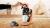 BOSCH TAS1106