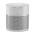 BOSE HOME SPEAKER 300, SILVER