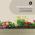 BLUMFELDT HIGH GROW STRAIGHT, VYVYSENY ZAHON, 180X60X90, 970 L, OCEL, POZINKOVANA, BEZOVY, 10032317