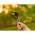 LAMAX W9.1 4K DUAL SCREEN WATERPROOF ACTION CAMERA