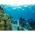 LAMAX W9.1 4K DUAL SCREEN WATERPROOF ACTION CAMERA