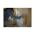 ELECTROLUX WA51-304WT