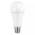 EMOS ZQ5185 LED ZIAROVKA CLASSIC A67 19W E27 STUDENA BIELA