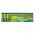 GP ZINKOVA BATERIA GREENCELL AA (R6) 12SH