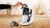 BOSCH TAS1104