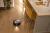 I ROBOT ROOMBA J7+, 7558 vystavený kus