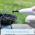 MEDIASHOP LIVINGTON PRIME STEAM MOP
