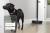 I ROBOT ROOMBA I5 (I5158) vystavený kus