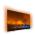 PHILIPS 65OLED804/12
