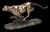 VERONESE GEPARD BEZIACI