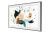 SAMSUNG QE55LS03TAUXXH