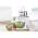 SENCOR STM 4460 GG