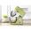 SENCOR STM 7870 GG