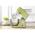 SENCOR STM 7870 GG