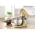 SENCOR STM 7877 CH