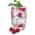 SODASTREAM SKLENENE POHARE 4 X 330 ML