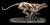 VERONESE GEPARD BEZIACI