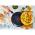 TEFAL C2720253, 20 CM