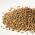 KARMA BAIT PELLET HYPNOTIC RED NUBIA 2 MM 900 GR