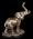 VERONESE SLON