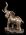 VERONESE SLON
