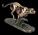 VERONESE GEPARD BEZIACI