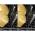 ELECTROLUX EEM63300L
