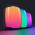 NICEBOY RAZE NEON