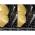 ELECTROLUX KESC2210L