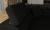 ELTAP ANTON, SAWANA 14, BLACK, LEFT, 21401