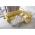 ELTAP NOBLE, SAVOI 45, YELLOW, RIGHT, 25179