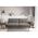 ELTAP BELLIS, LOCO 4, GRAY, 30475